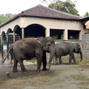 Gembiraloka Zoo